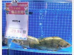-七鲜超市(通州ONE店)