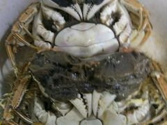 -喜洋洋蟹庄(阳澄湖店)