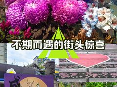 -九眼桥码头旧址
