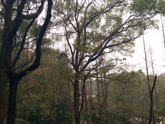 -忠山公园