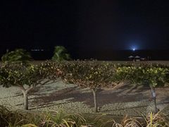 -渔家火锅·海鲜自助餐·演艺(亚龙湾天域酒店)