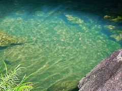 -广州白江湖森林公园