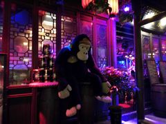 -周庄红庭演艺酒吧