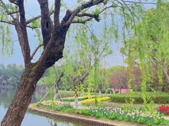 -上海鲜花港
