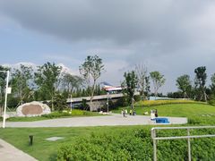 -成飞公园