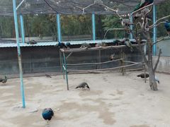 -森林公园(尖草坪区)
