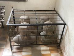 -吐斯廉屠杀博物馆