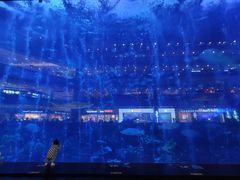 -成都浩海立方海洋公园