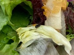 -Hatsune隐泉日式料理(三里屯太古里店)