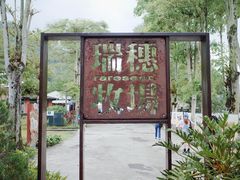 -瑞穗牧场
