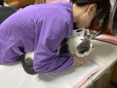 -瑞派宠物医院·24h·骨外科·皮肤科·全科宠物医疗转诊中心(沈阳浑南院)