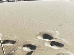 -库伦旗银沙湾旅游景区