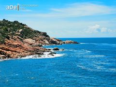 -广东惠东海龟国家级自然保护区