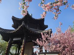 -莫愁湖公园