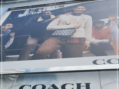 -COACH蔻驰(顺城购物中心店)