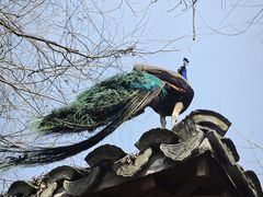 -武汉园博园(武汉自然博物馆)