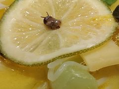 -蘑菇.私房菜. 新派莆田菜(东梅店)