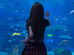 -无锡海洋馆