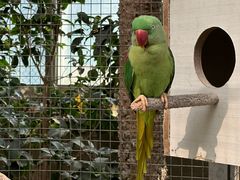 -大连森林动物园