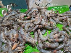 -星伦多自助料理·涮烤一体(嘉兴八佰伴店)
