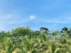 -兴隆槟榔园休闲农庄