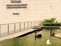 -行者书屋大堂吧 ·下午茶(南京圣和府邸酒店)