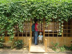 景点-观光南瓜园