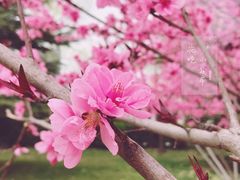 -欧韵公园
