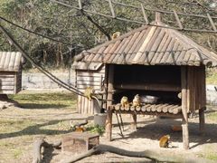 -上海野生动物园