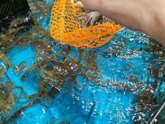 -盒马鲜生(皇庭广场店)