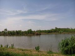 -白鹭湾湿地公园