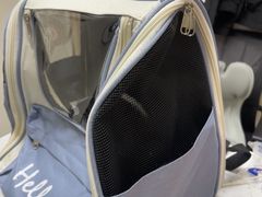 -宠颐生猫科·内科皮肤科(西平世纪城店)