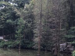 景点-云溪植物园
