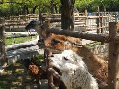 -西安秦岭野生动物园