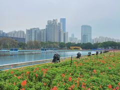 -海心沙亚运公园