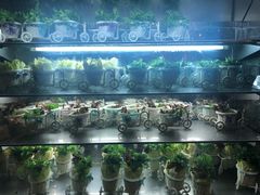 -雍和会海鲜姿造自助(湖东路店)