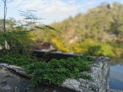 -厦门园林植物园-植物园滴水山房