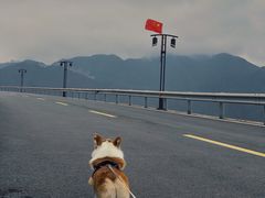 -江南天池