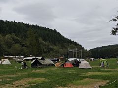 -武陵山森林公园