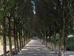 -毛泽东才溪乡调查旧址景区