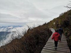 -白草畔自然风景区