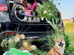 -泰州之星奔驰4S店(海陵店)