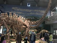 -自贡恐龙博物馆