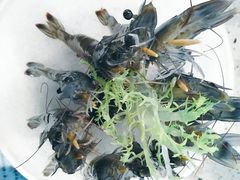 -椰子营·椰子鸡火锅(万象里店)