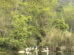 -靖西鹅泉风景区