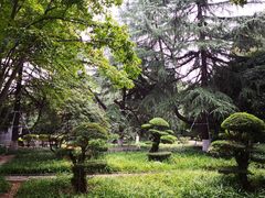 -中南财经政法大学(首义校区)