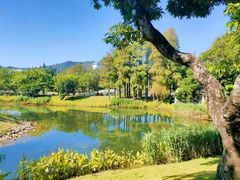 -四海公园(南山区)