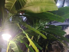 -洪湖悦兮半岛国际温泉度假村
