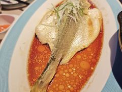 -顺鹅季·非遗烧鹅(六道口店)