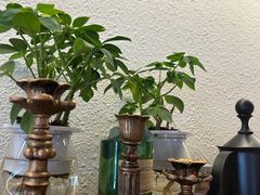 -The Good Place好地方·Brunch·coffee(国贸店)
